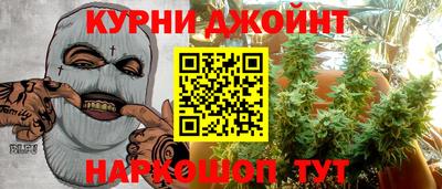сатива Будённовск