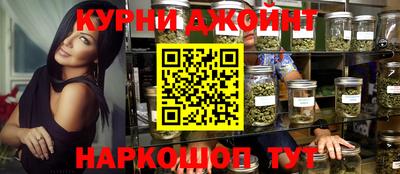 сатива Будённовск